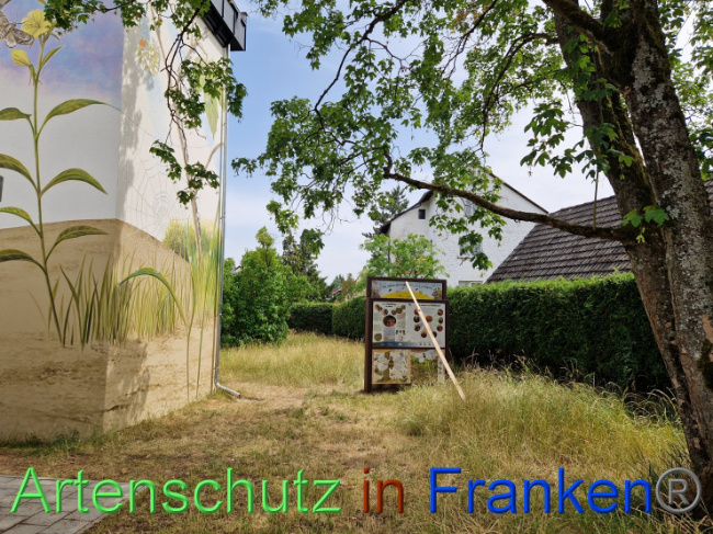 Bild zum Eintrag (1088962-160)