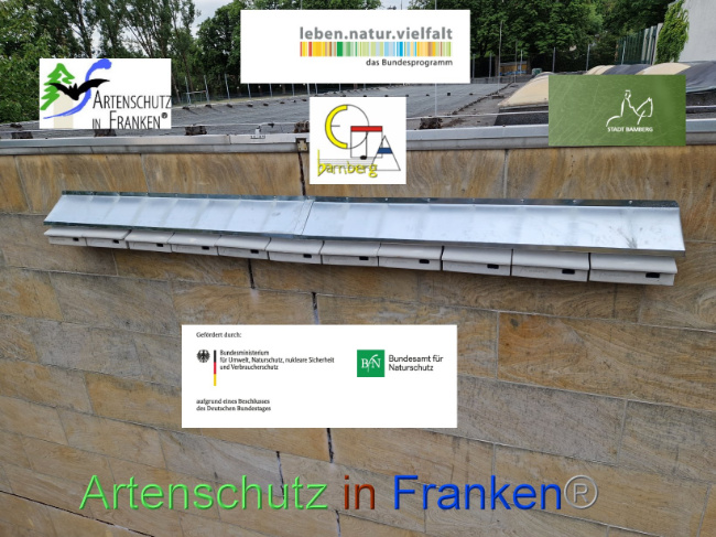 © Artenschutz in Franken® Bild zum Eintrag (1090411-160)