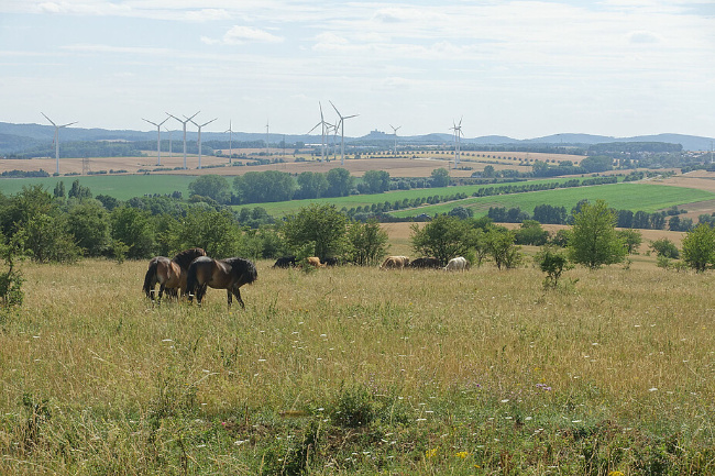© Foto: Dr. Alois Kapfer Bild zum Eintrag (1090950-160)