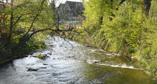 © Ministerium für Umwelt, Klima und Energiewirtschaft Baden-Württemberg Bild zum Eintrag (1090981-160)