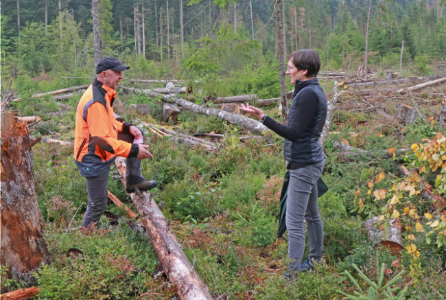© Nationalparkverwaltung Bayerischer Wald Bild zum Eintrag (1091004-160)