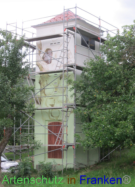 © Artenschutz in Franken® Bild zum Eintrag (1091368-160)