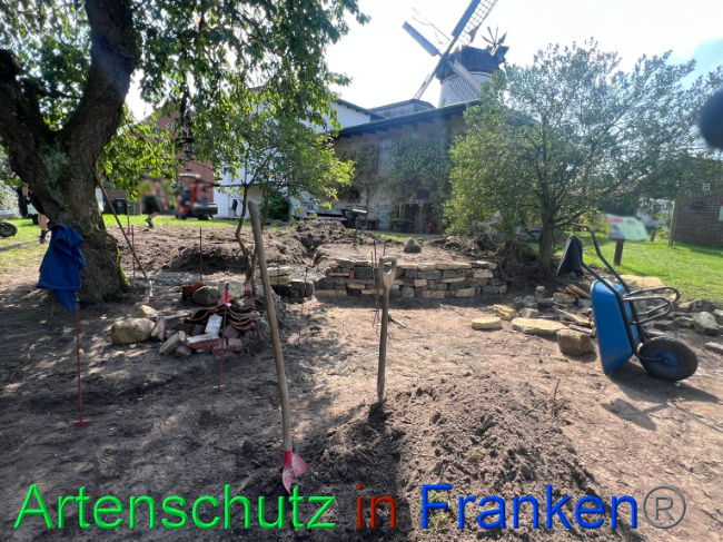 © Artenschutz in Franken® Bild zum Eintrag (1091772-160)