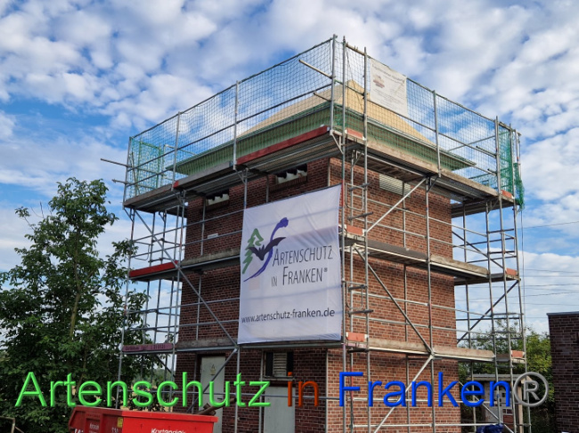 © Artenschutz in Franken® Bild zum Eintrag (1091952-160)