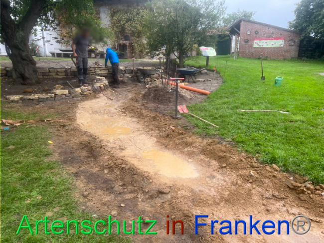 © Artenschutz in Franken® Bild zum Eintrag (1092419-160)