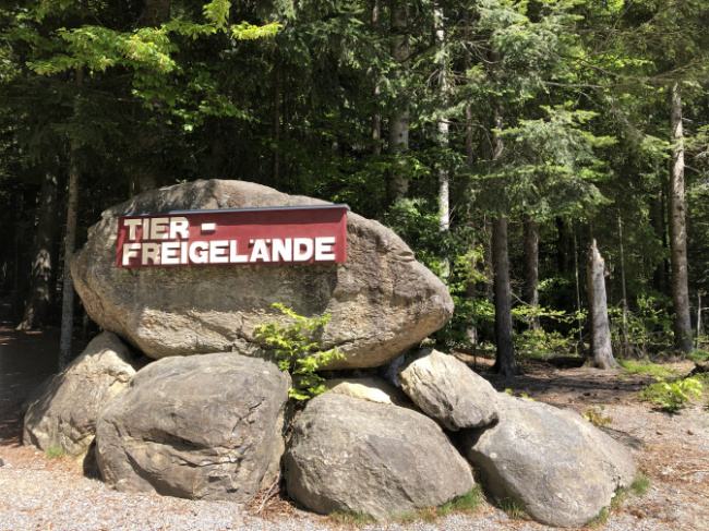 © Nationalparkverwaltung Bayerischer Wald Bild zum Eintrag (1092431-160)