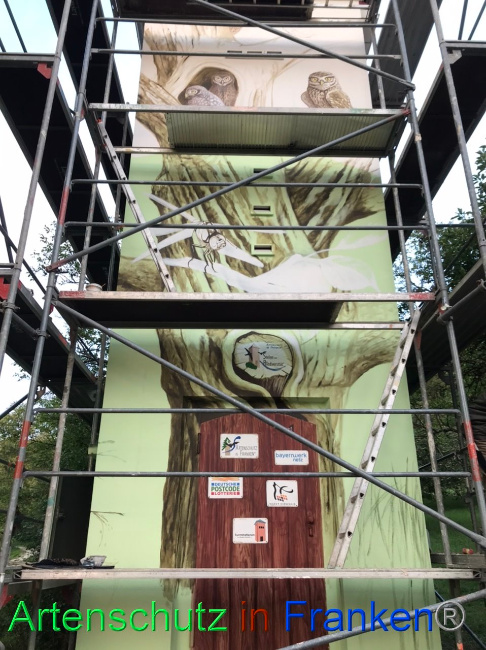 © Artenschutz in Franken® Bild zum Eintrag (1092507-160)