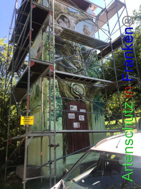 © Artenschutz in Franken® Bild zum Eintrag (1092623-160)