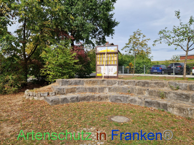 © Artenschutz in Franken® Bild zum Eintrag (1093169-160)