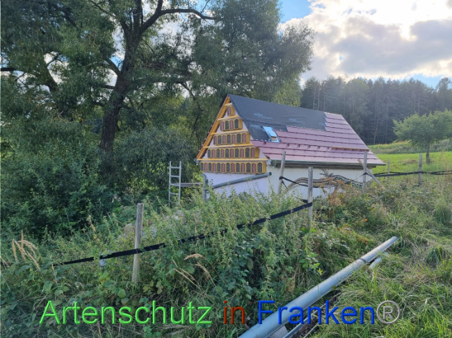 Bild zum Eintrag (1093217-160)