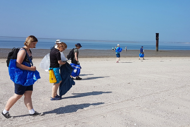 © T. Hamm / NLPV Bild zum Eintrag (1093221-160)