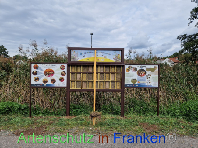 Bild zum Eintrag (1093235-160)