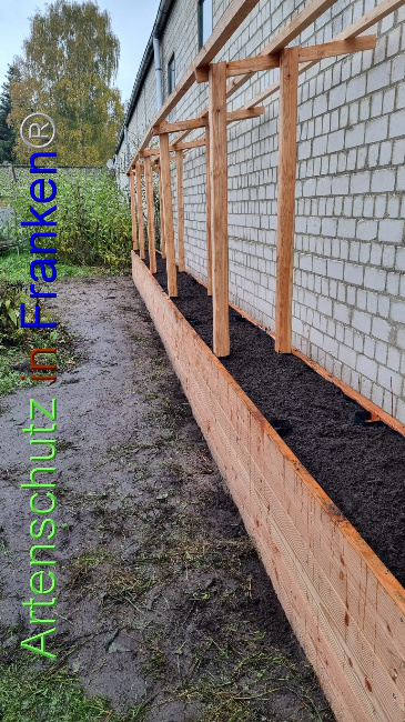 © Artenschutz in Franken® Bild zum Eintrag (1095828-160)