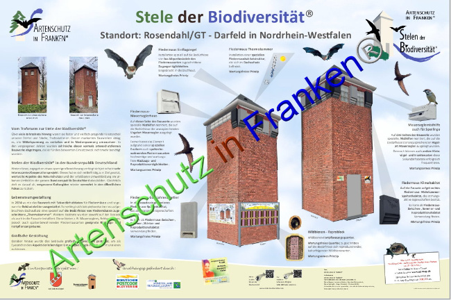 © Artenschutz in Franken® Bild zum Eintrag (1095894-160)