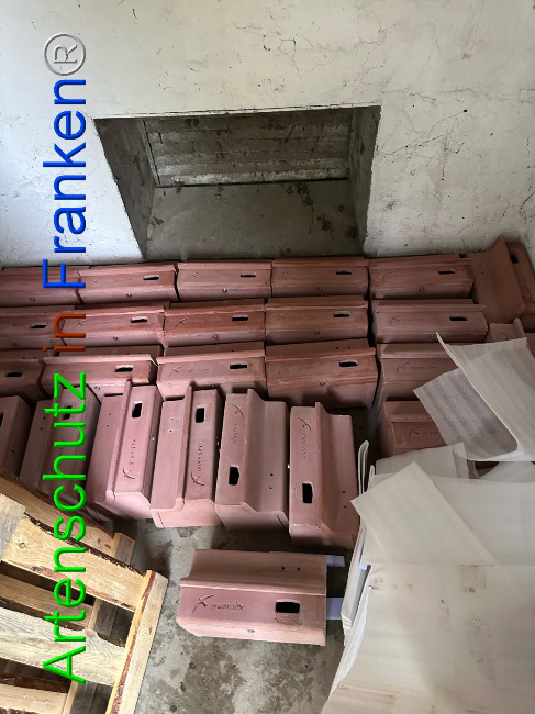 © Artenschutz in Franken® Bild zum Eintrag (1096330-160)