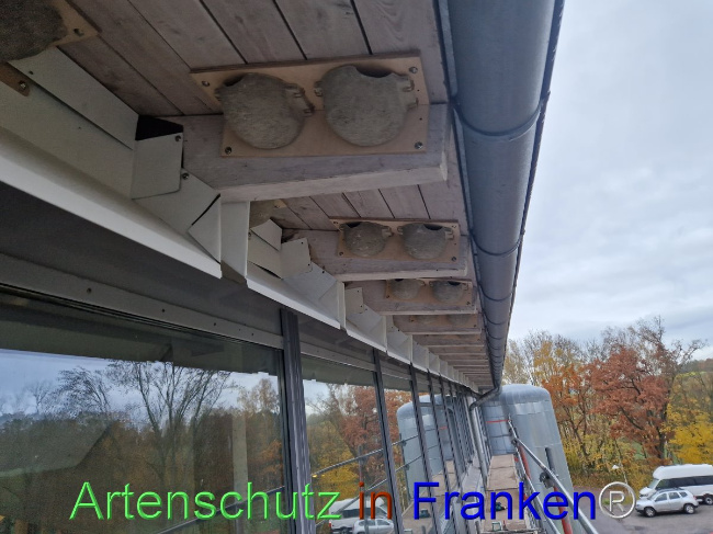 © Artenschutz in Franken® Bild zum Eintrag (1096605-160)