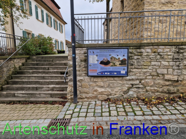 © Artenschutz in Franken® Bild zum Eintrag (1096607-160)