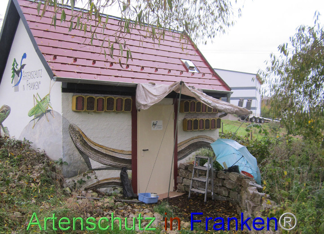 © Artenschutz in Franken® Bild zum Eintrag (1096639-160)