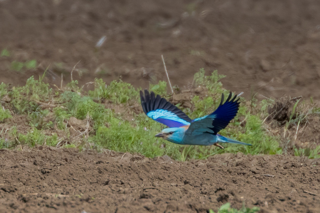 © Marianne Fitschen Bild zum Eintrag (1096702-160)