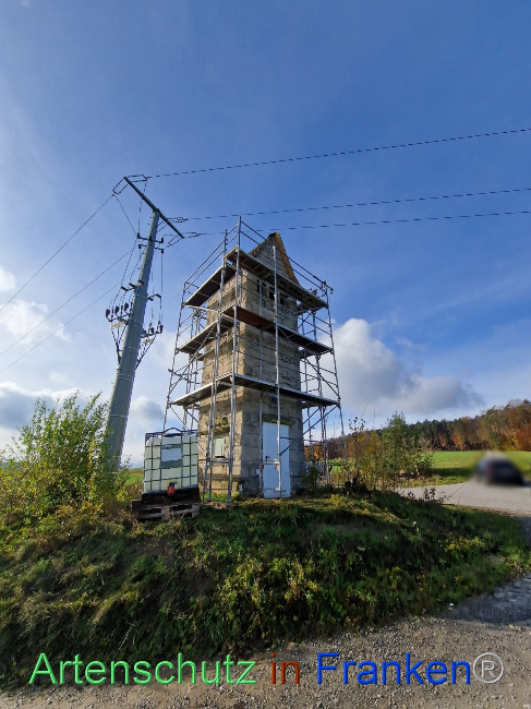 © Artenschutz in Franken® Bild zum Eintrag (1096892-160)