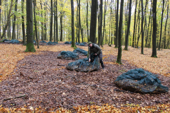 © Nationalparkverwaltung Eifel/A. Simantke Bild zum Eintrag (1097036-160)