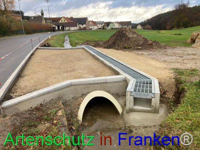 © Artenschutz in Franken® / Jäger Bild zum Eintrag (1097173-160)