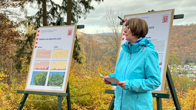 © Hessisches Ministerium für Umwelt, Klimaschutz, Landwirtschaft und Verbraucherschutz Bild zum Eintrag (1097201-160)