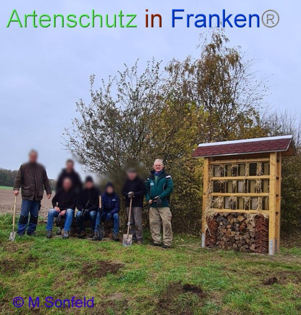 © Artenschutz in Franken® / Sonfeld Bild zum Eintrag (1097747-160)