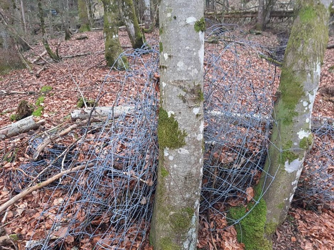 © Foto: Simon Lipp, BaySF Bild zum Eintrag (1097919-160)