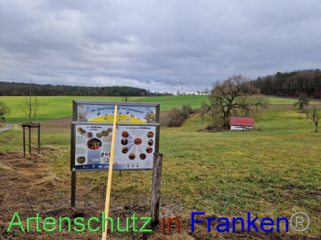 © Artenschutz in Franken® Bild zum Eintrag (1098189-160)
