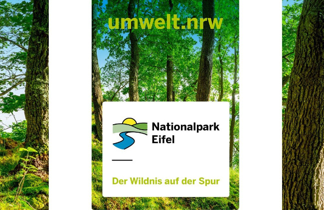 © Nationalparkverwaltung Eifel Bild zum Eintrag (1098201-160)