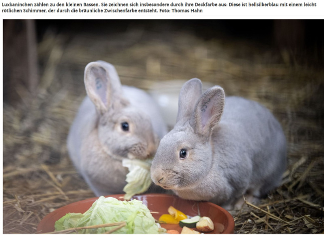 © Foto: Thomas Hahn Bild zum Eintrag (1098738-160)