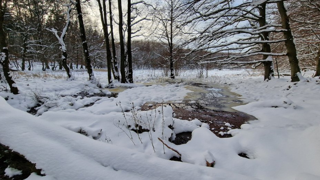 © I. Stodian Bild zum Eintrag (1098846-160)