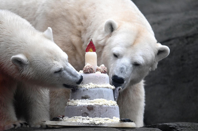 © Tierpark Hagenbeck Gemeinnützige Gesellschaft mbH Bild zum Eintrag (1099046-160)