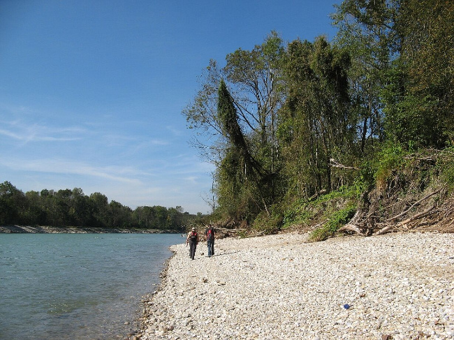 © Foto: ALS Bild zum Eintrag (1099201-160)