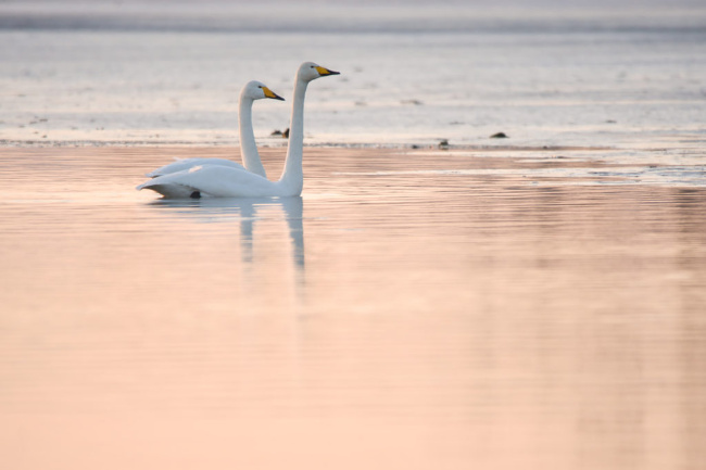 © P. Schröder Bild zum Eintrag (1099480-160)
