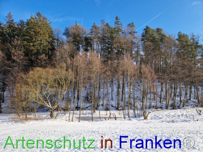 Bild zum Eintrag (1100108-160)