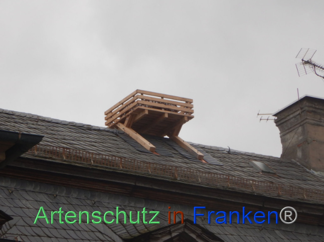 © Artenschutz in Franken® Bild zum Eintrag (1101571-160)
