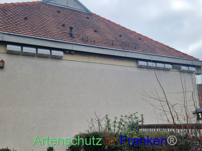 © Artenschutz in Franken® Bild zum Eintrag (1101621-160)