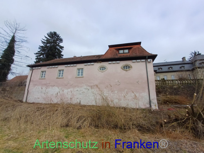 © Artenschutz in Franken® Bild zum Eintrag (1101625-160)