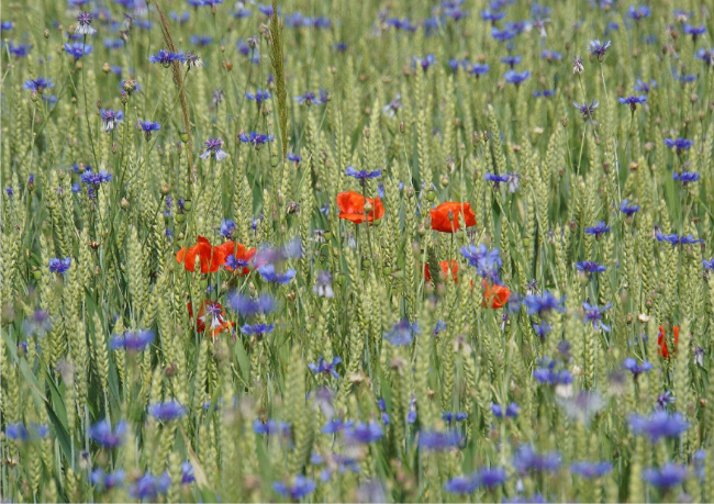 © Foto: Stefan Meyer Bild zum Eintrag (1101748-160)