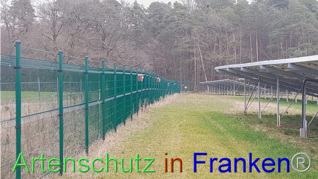 © Artenschutz in Franken® Bild zum Eintrag (1101869-160)