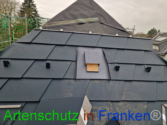 © Artenschutz in Franken® Bild zum Eintrag (1102196-160)