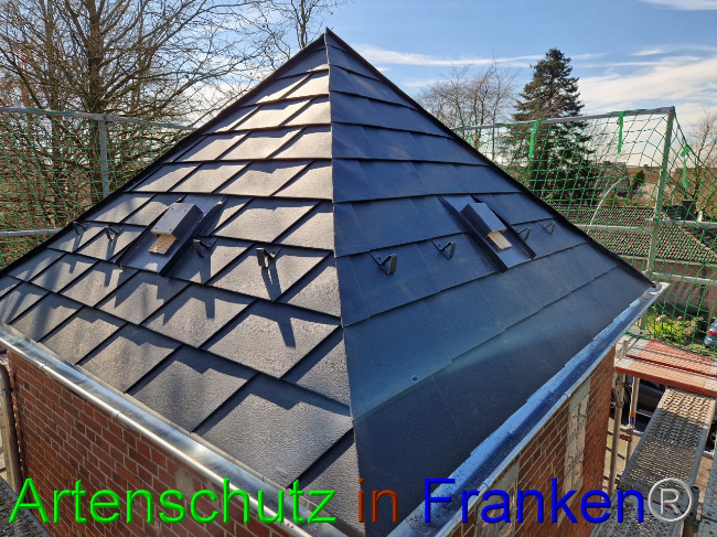 © Artenschutz in Franken® Bild zum Eintrag (1102367-160)