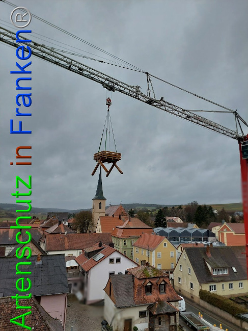 © Artenschutz in Franken® Bild zum Eintrag (1103009-160)