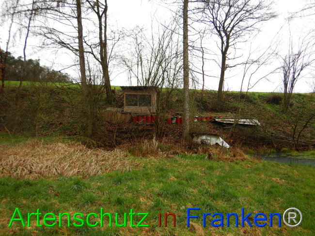 © Artenschutz in Franken® Bild zum Eintrag (1103289-160)