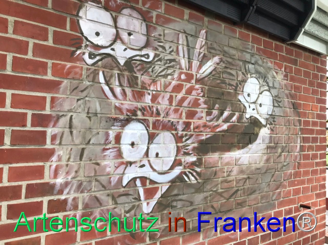 © Artenschutz in Franken® Bild zum Eintrag (1103887-160)