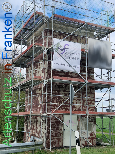 © Artenschutz in Franken® Bild zum Eintrag (1103905-160)