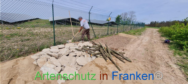 © Artenschutz in Franken® Bild zum Eintrag (1104250-160)