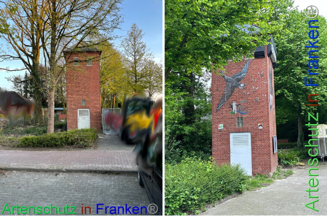 © Artenschutz in Franken® Bild zum Eintrag (1105283-160)